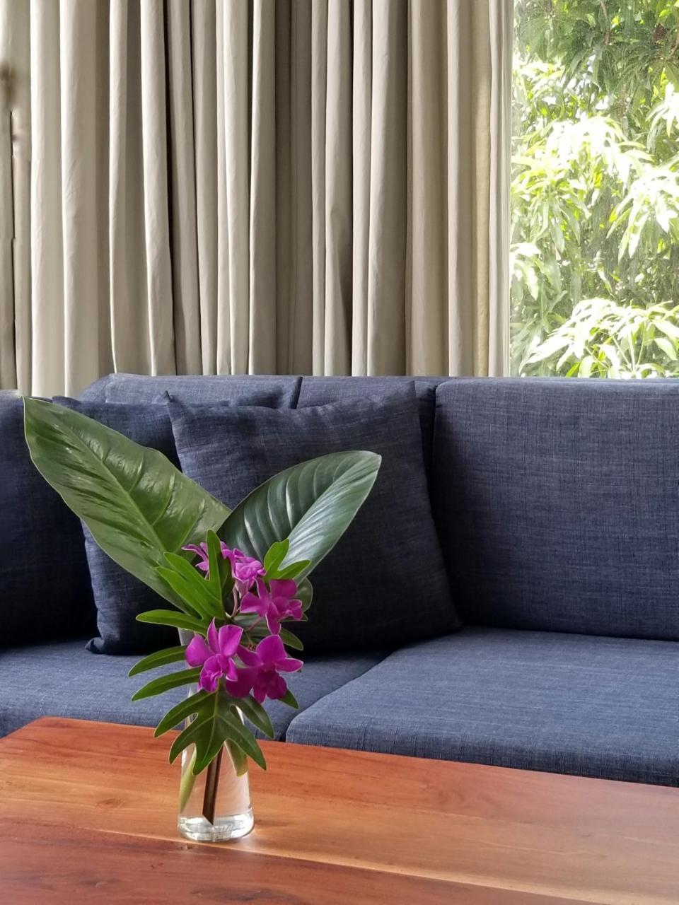 Angkor Siesta Villa Siem Reap Bagian luar foto